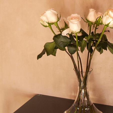 Rosas & Xocolate Boutique Hotel And Spa Merida, A Member Of Design Hotels Eksteriør billede